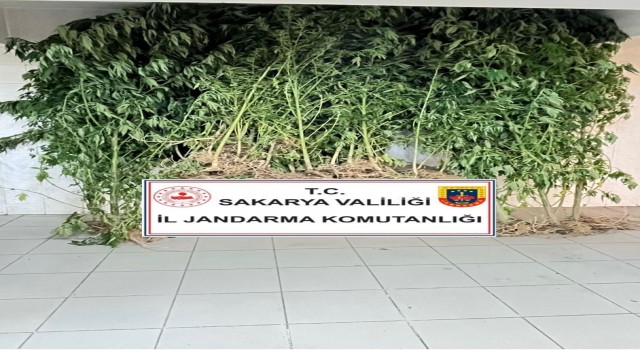 Jandarma uyuşturucuya geçit vermiyor: 2 gözaltı
