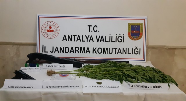 Jandarmadan Finikede uyuşturucu operasyonu: 1 gözaltı