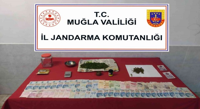 Jandarmadan uyuşturucu operasyonu