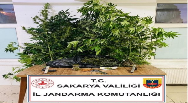 Jandarmadan uyuşturucu operasyonu: 3 gözaltı
