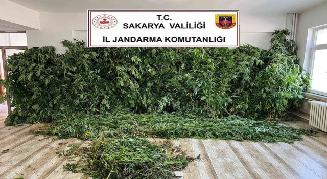 Jandarmadan uyuşturucu ve kaçak sigara operasyonu: 2 gözaltı