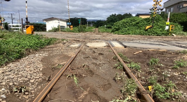 Japonyadaki selde 2 kişi kayboldu