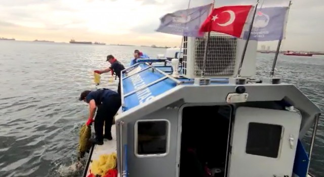 Kaçak avlanan 2,5 ton kara kıllı midye ve 500 kilo deniz salyangozu ele geçirildi