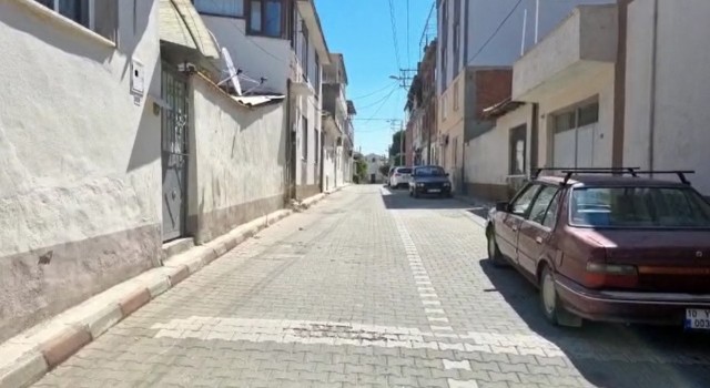 Kadıköyde bir sokağı pire ve keneler sardı