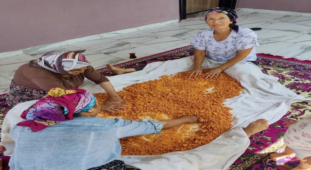 Kadınların tarhana mesaisi başladı