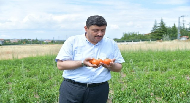 Kahramankazan Belediyesi personeli ihtiyaç sahipleri için sebze meyve yetiştirdi