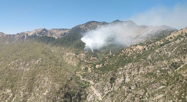 Kahramanmaraşta orman yangını