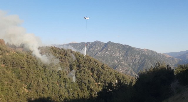 Kahramanmaraşta orman yangınına müdahale sürüyor