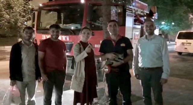 Karsta itfaiyeden kedi kurtarma operasyonu