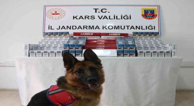 Karsta kaçak sigara ele geçirildi