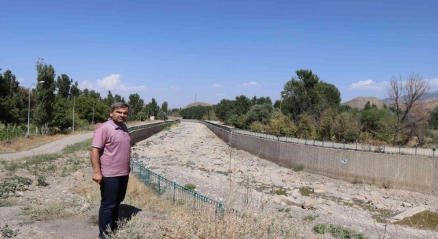 Kavurucu sıcaklar Oltu Çayını kuruttu