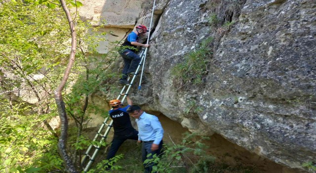 Kayada mahsur kalan 7 keçinin imdadına ekipler yetişti