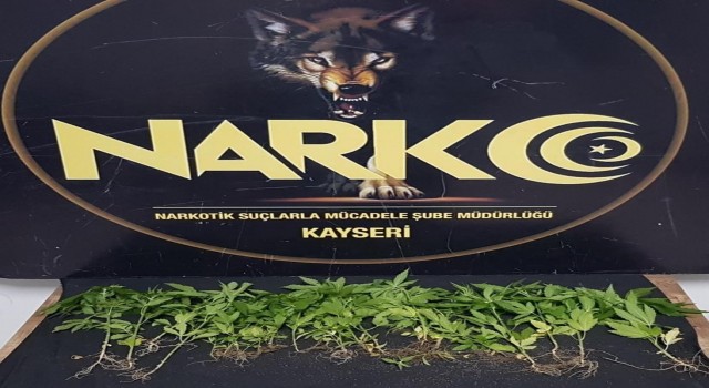 Kayseride 1 ayda 143 kişiye uyuşturucudan işlem yapıldı