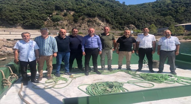 Kdz. Ereğlide kafes balıkçılığı için yer tespiti yapıldı