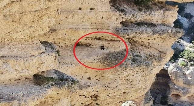 Keçileri kurtarmak isterken mahsur kaldı, ekipler kurtardı