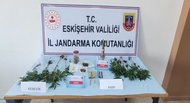 Kenevir bitkisi yetiştirilen eve jandarma operasyonu