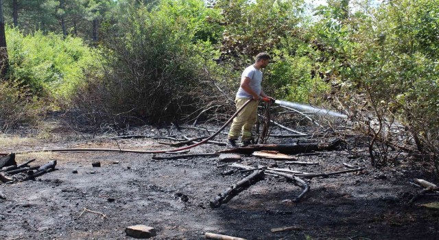 Kesilen ağaç elektrik tellerini kopardı, yangına neden oldu