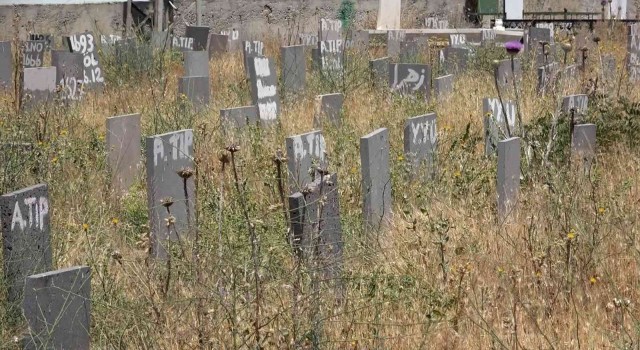 ‘Kimsesizler Mezarlığında son bulan umut yolculuğu