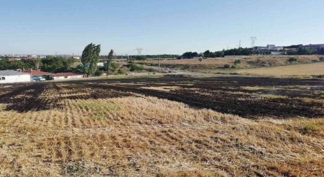 Kırklarelinde anız yangını, 10 dönümlük alan zarar gördü