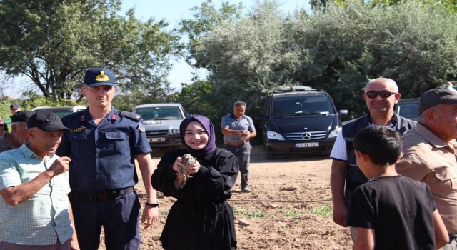 Kırşehirde keklikler doğaya salındı