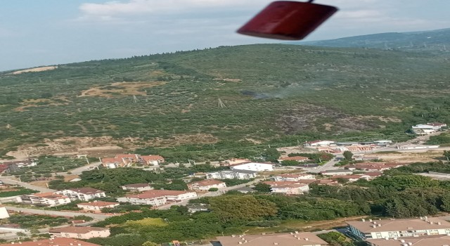 Kocaelideki orman yangını kontrol altına alındı