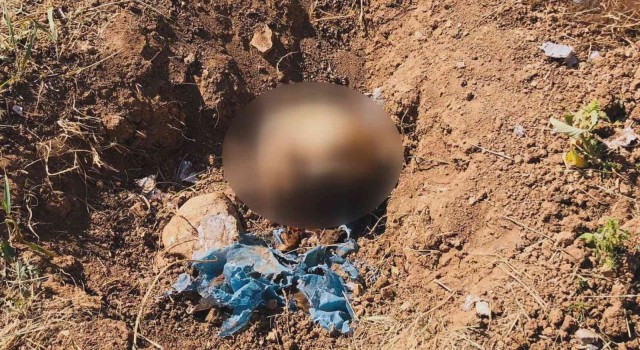 Kocasının öldürüp toprağa gömdüğü kadının cesedini ‘Baron buldu