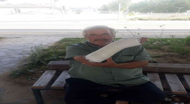 Köpeklerden kaçarken düşüp kolunu kırdı