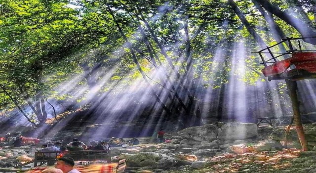 Kozlukta sıcak hava bunaltı, vatandaş soluğu piknik alanında aldı