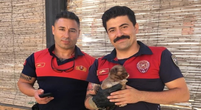 Kuyuya düşen yavru köpeğin imdadına itfaiye ekipleri yetişti