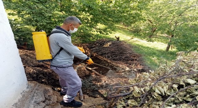 Malatyada ilaçlama çalışmaları sürüyor