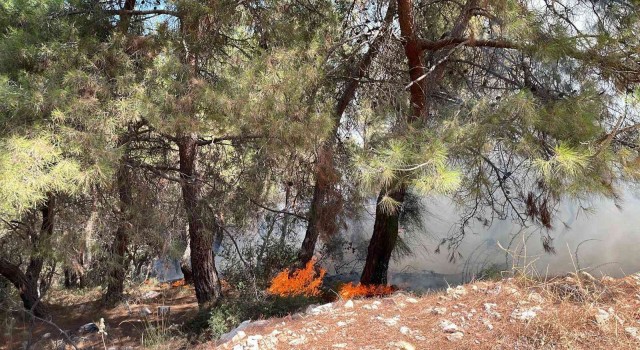 Manisada 2 ayrı noktada ormanlık alanda yangın başladı