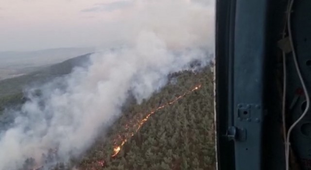 Manisada ormanlık alanda yangın