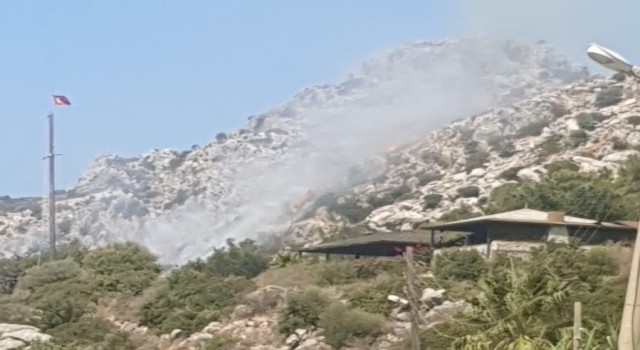 Marmaristeki makilik yangını kontrol altına alındı
