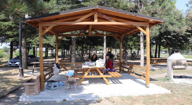 Melen Su Parkta kamelya sayısı artıyor