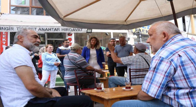 Memleket Partisi İl Başkanı Baltalık: Seçmeni dinledik, derdi ile dertlendik