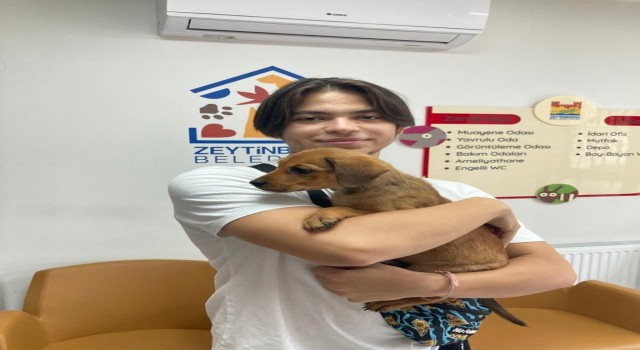 Mezarlığa bırakılan yavru köpek yeni yuvasında
