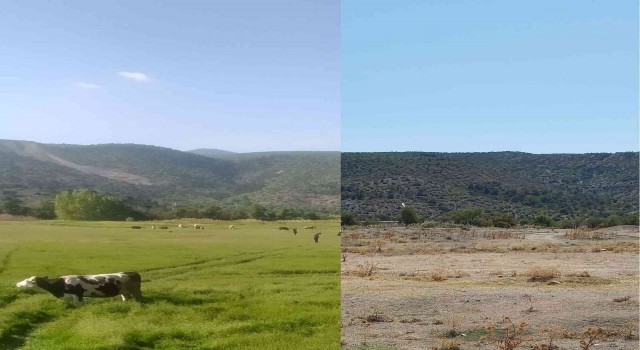 Mihalıççık İlçesi Adahisar Mahallesinde Islah Ve Amenajman Projesi
