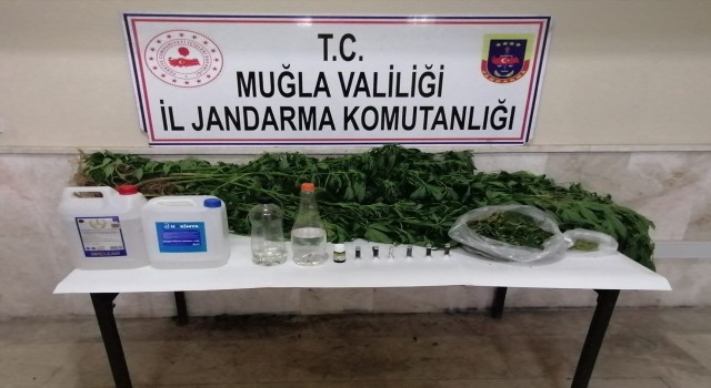 Milasta kaçak içki, kenevir ve uyuşturucu madde ele geçirildi