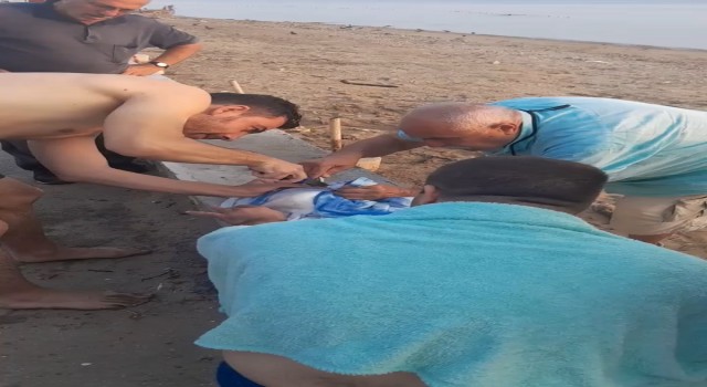Misinaya takılan martı özgürlüğüne böyle kavuştu