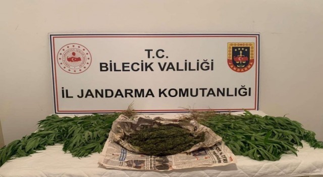 Motosikletinde yarım kilodan fazla esrarla yakalandı