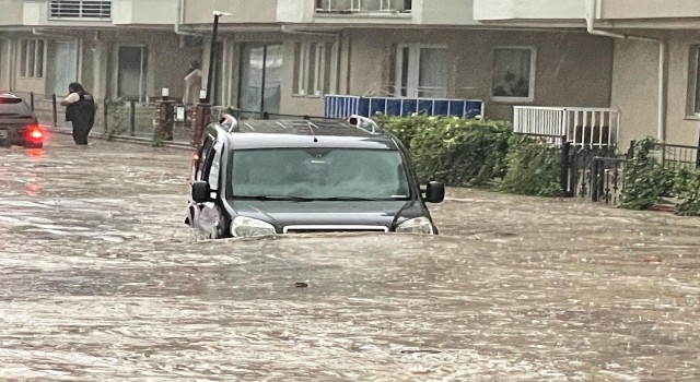 Mudanyada hayat normale döndü... Selden geriye çamur kaldı