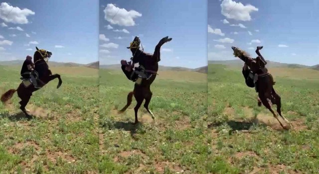 Muhtarın attan düşme anı