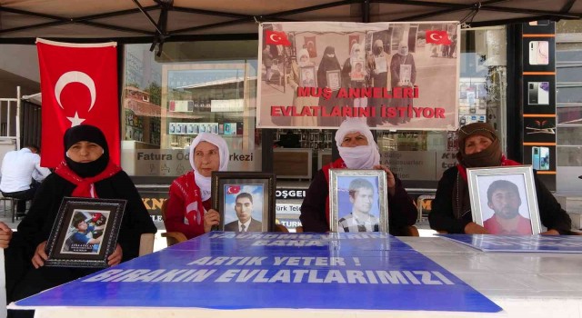 Muşta annelerin evlat nöbeti 71. haftaya girdi
