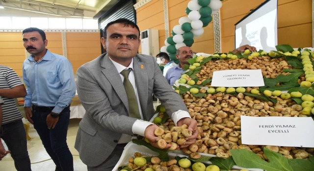 Nazillide sezonun ilk kuru inciri kilosu 400 TLden satıldı