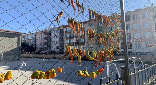 Okul demirlerinde sebze kurutuyorlar