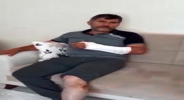 Öldüğü sandığı ayı saldırdı güreşerek hayatta kaldı