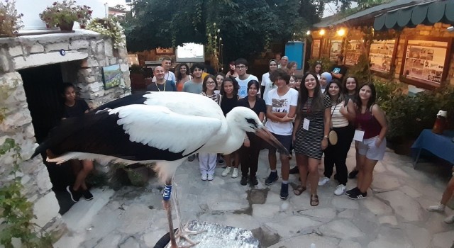 Ölmek üzereyken bulunan leylek yavrusu sağlığına kavuştu