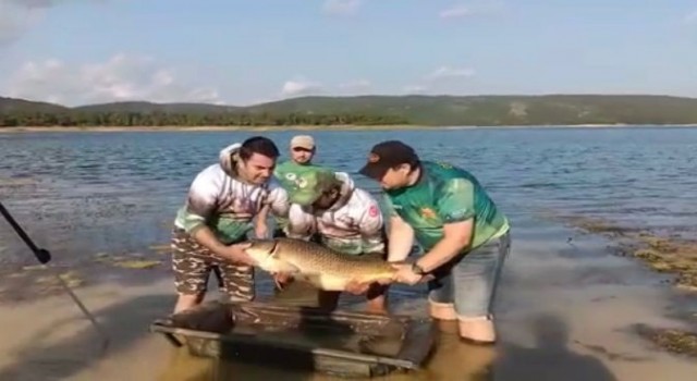 Ömerli Barajında oltaya takılan dev sazan balığı görenleri şaşırttı