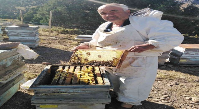 Ömrünü Arıcılığa adamış üretici bu yılki verimden ümitli