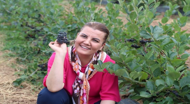Onun adı süper meyve, faydaları saymakla bitmiyor